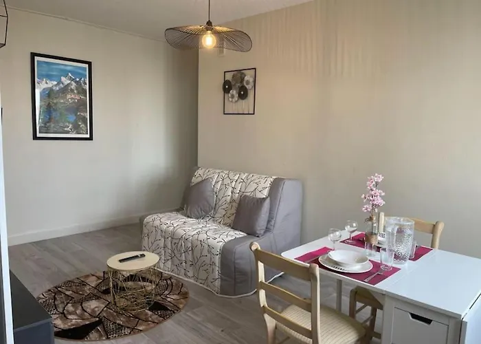 Entier Spacieux/lumineux/parking Prive Appartement Toulouse